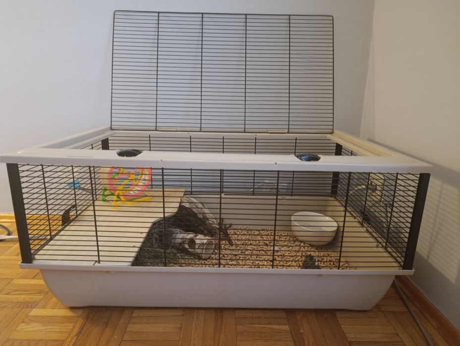 Duża klatka chomik świnka morska szynszyl królik