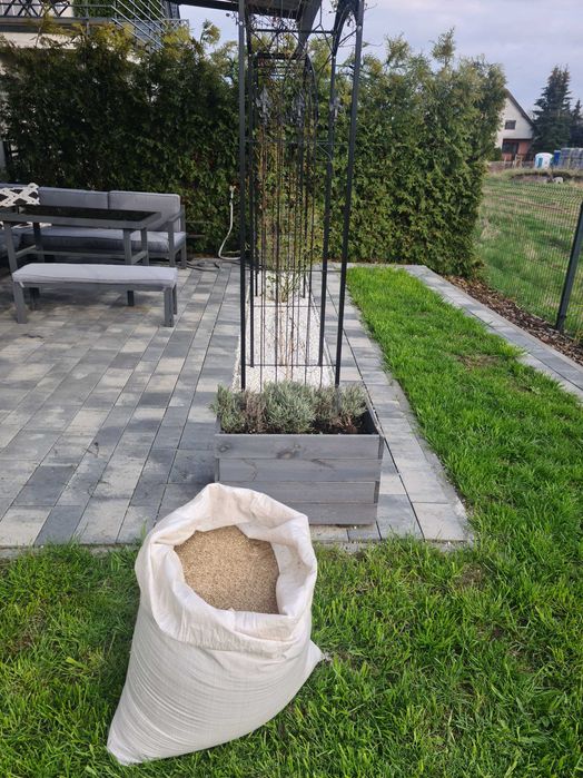 Trawa ogrodowa zagęszczająca - 10 zł