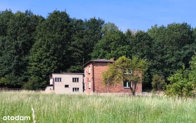 Wyjątkowe Miejsce Z Duszą 3810M2 W Sąsiedztwie Parku Ramży - Widok 2
