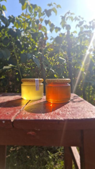 Мед акація,різнотравья та соняшник