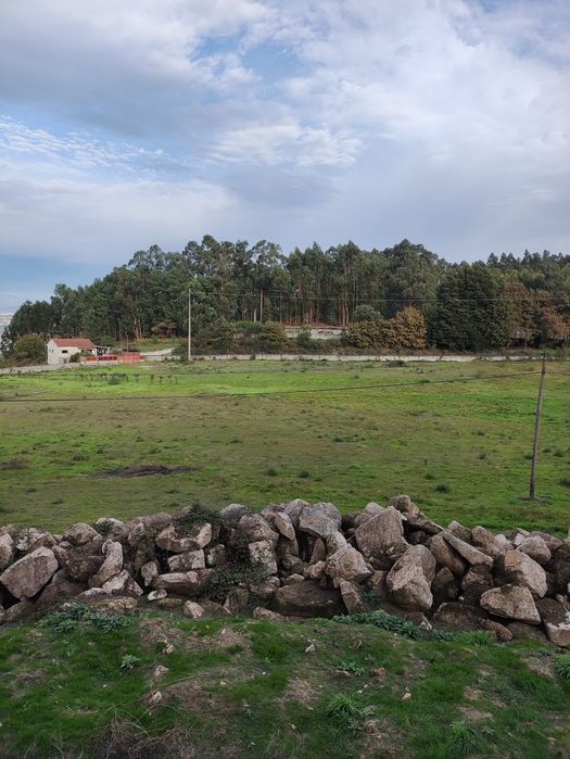 Arrenda-se Terreno Agrícola em Lustosa, Lousada – 22.000 m²
