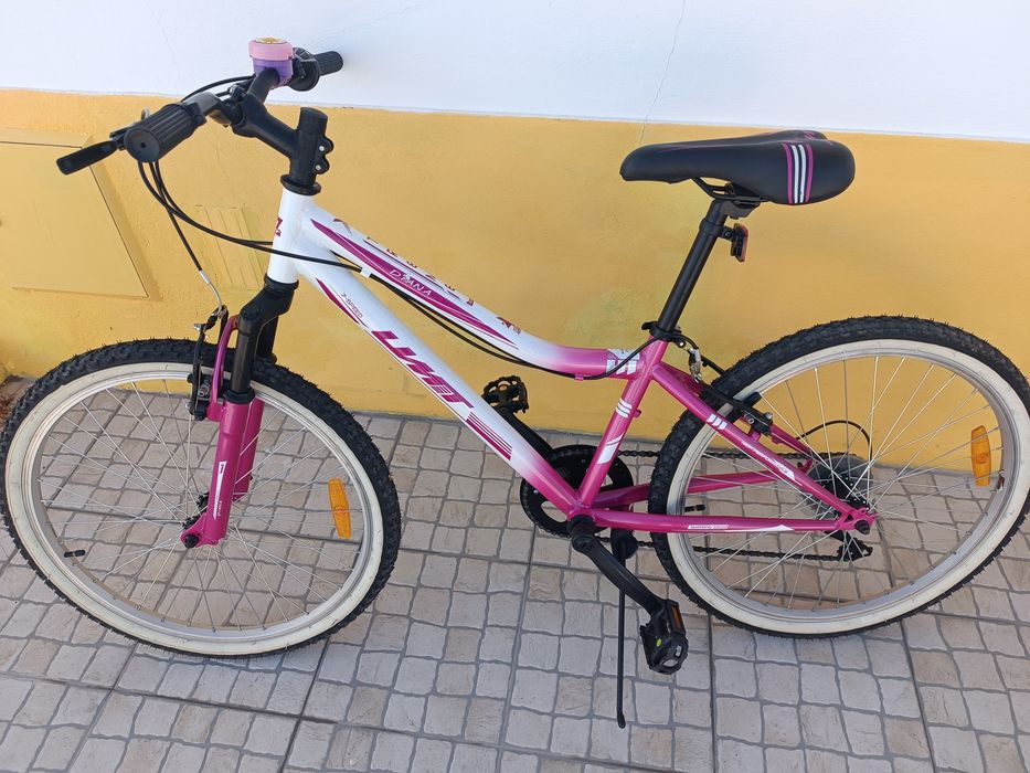 Bicicleta roda 24