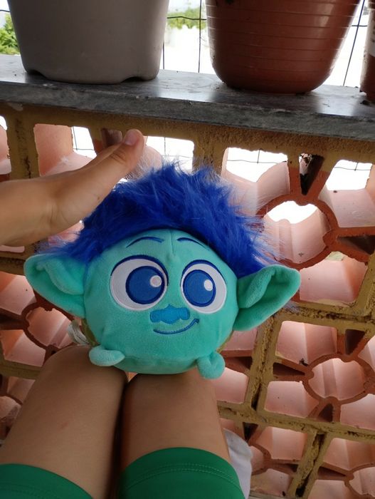 Um peluche do cabelodito