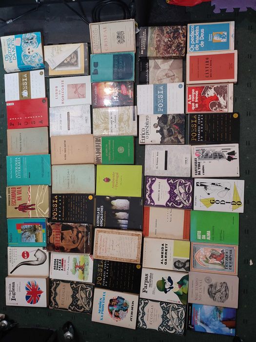 LIvros Autores Portugueses e Lusófonos - Cada 2 €