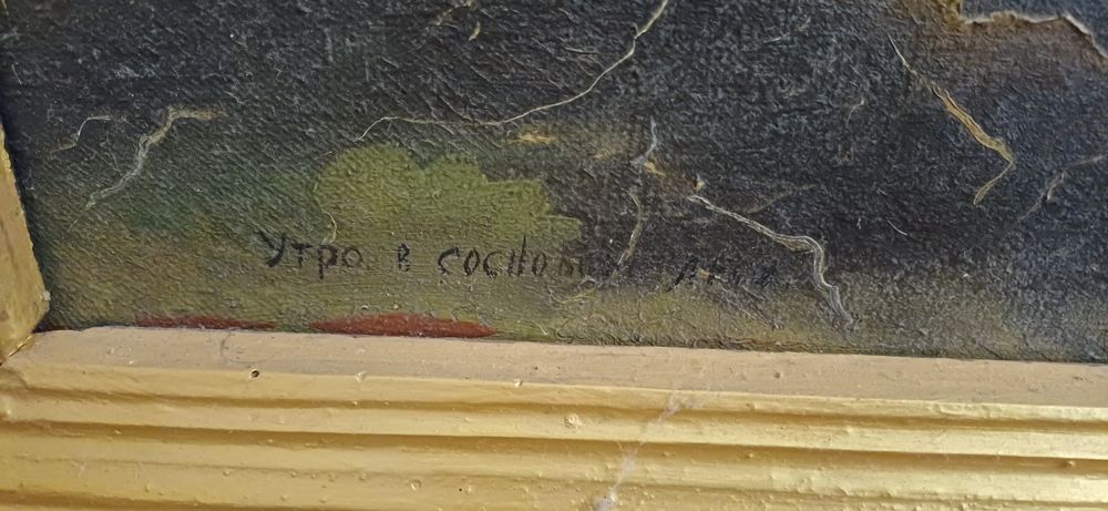 Утро в сосновом лесу.