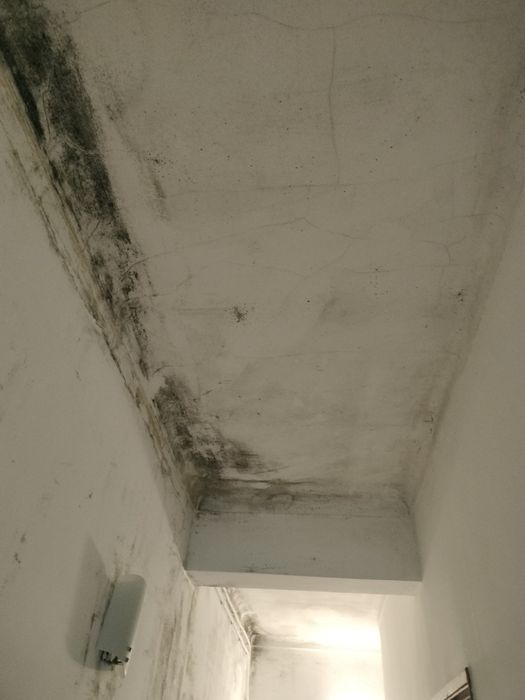 Serviço de limpeza