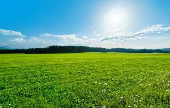 Продаю земельний пай Броварський р-н