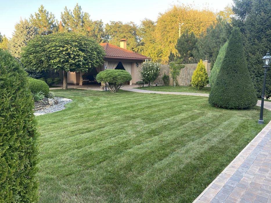 Стрижка газона,аэрация,скарификация, стрижка хвойных растений