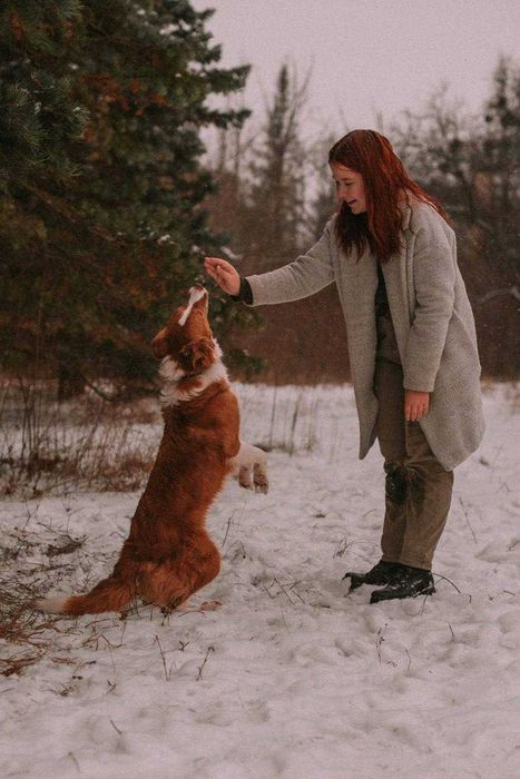 Кінолог, зоопсихолог, дресирування собак, вигул, перетримка