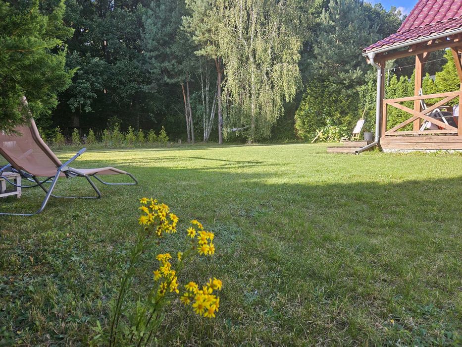 Dom – Grzybowo, powiat wągrowiecki - Widok 5