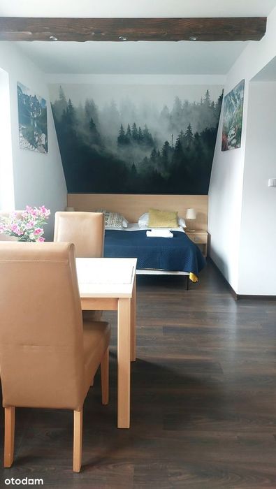 Apartament przy Dolinie Kościeliskiej