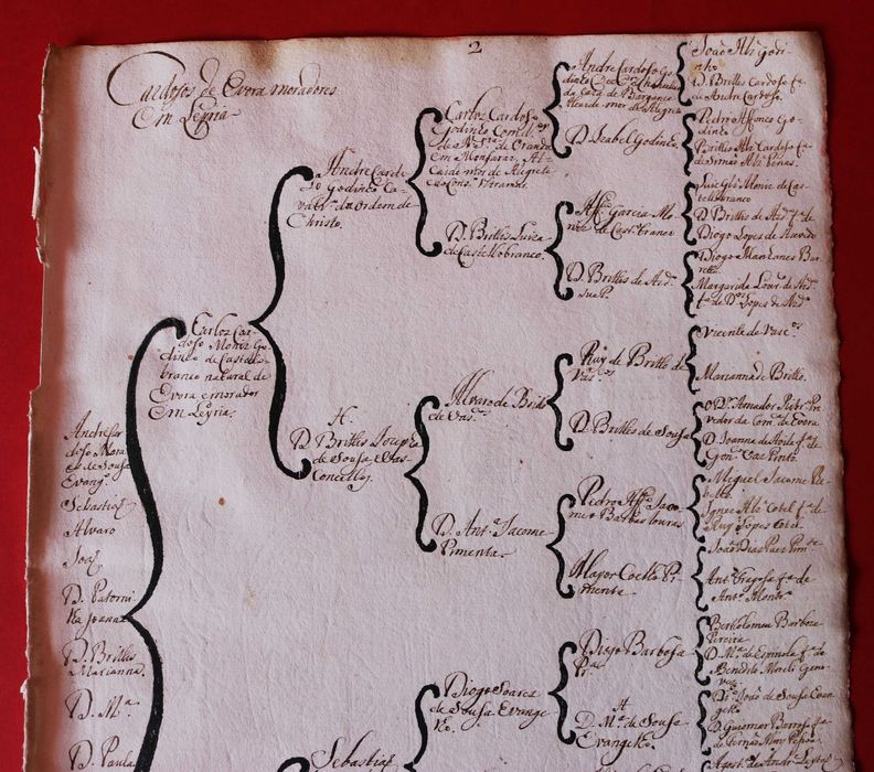 Cardosos from Évora in Leiria // the Moura Barata family from Sardoal, 2 trees