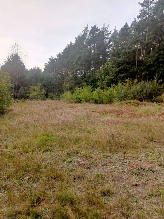 Działka 3000 metrów, Huta Dłutowska.