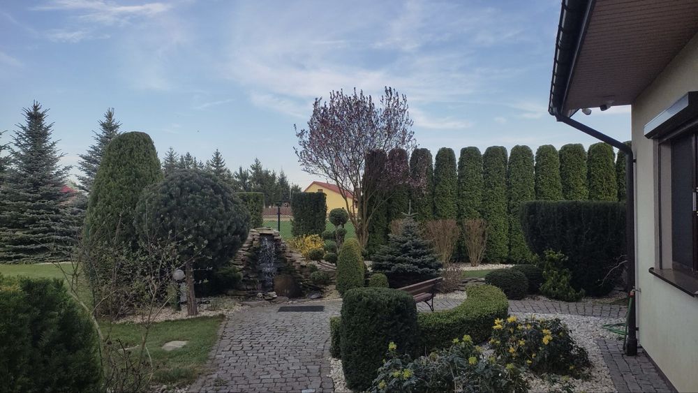 Zakładanie i Pielęgnacja Ogrodów
