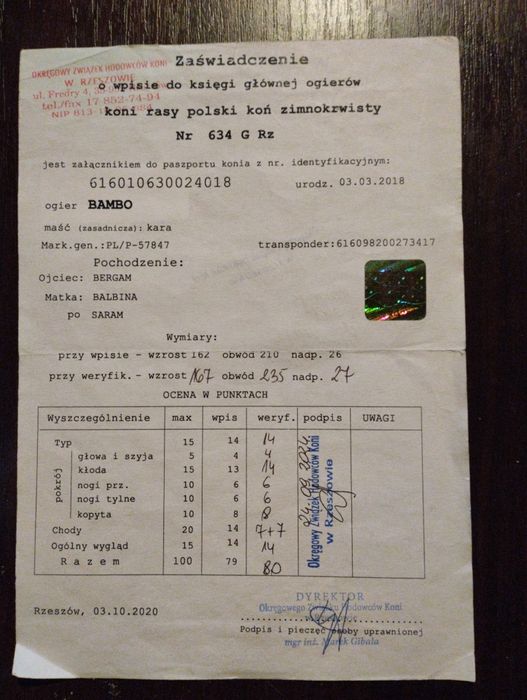 Ogier Zimnokrwisty Kary Stanówka