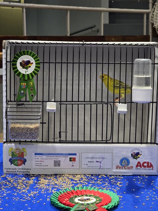 Ágata topázio amarelo intenso e nevado