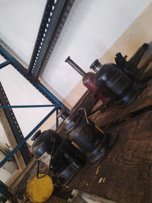 Macaco vários tamanhos