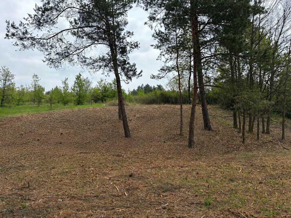 Widokowa działka budowlana przy lesie 3306 m² – Brudzów / Morawica - Widok 3