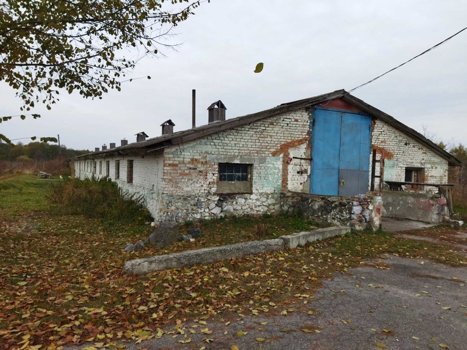 Продам приміщення (раніше свинарники) с.Стадниця, вул.Зарічна 1