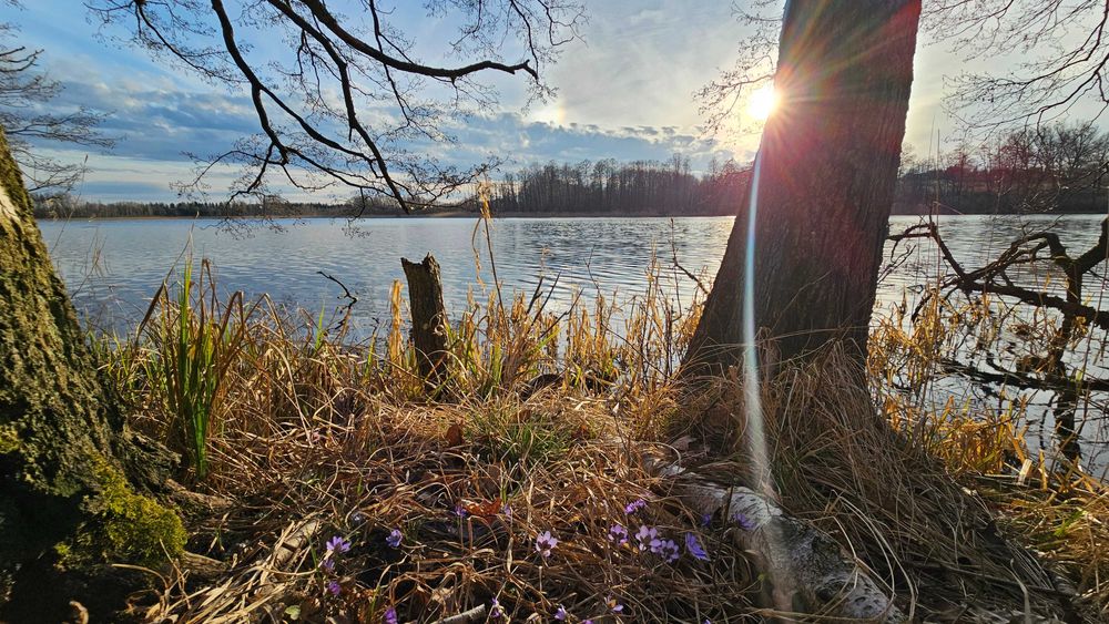 działka z linią brzeg. jez.Gromskiego, spokój, cisza, bezpiecz., las