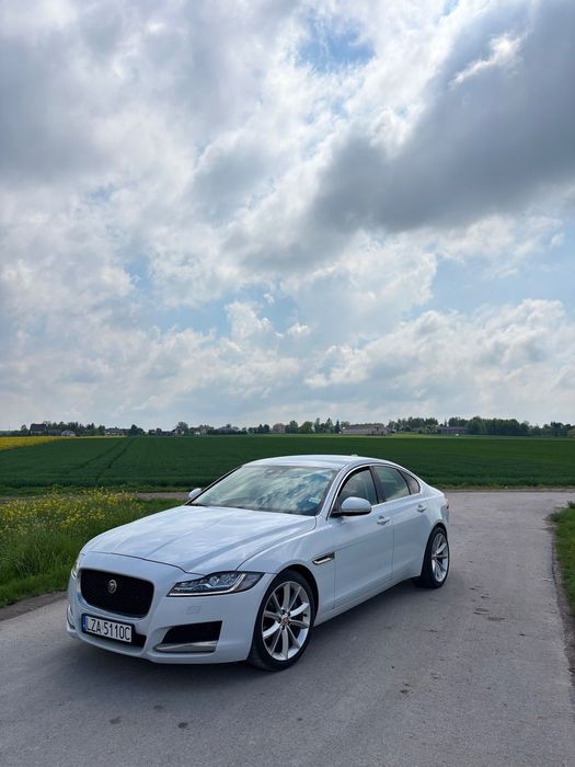 Jaguar XF Jaguar XF X260