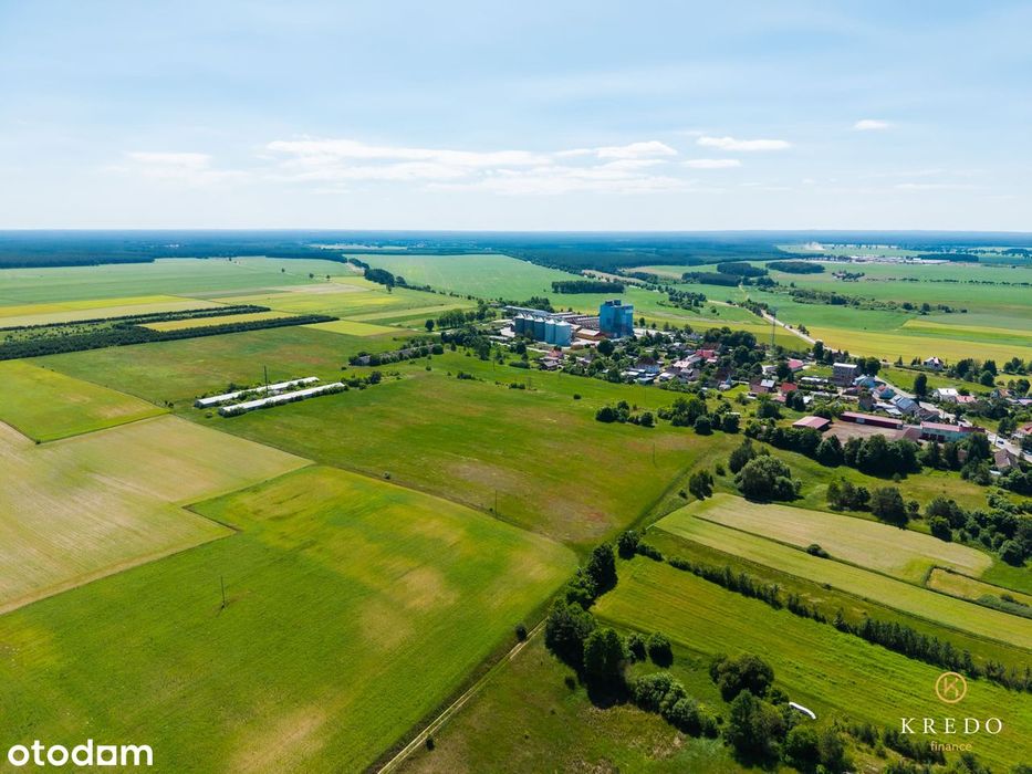 Działka budowlana 1,0036 ha | WZ | Duży potencjał inwest. | Koczała