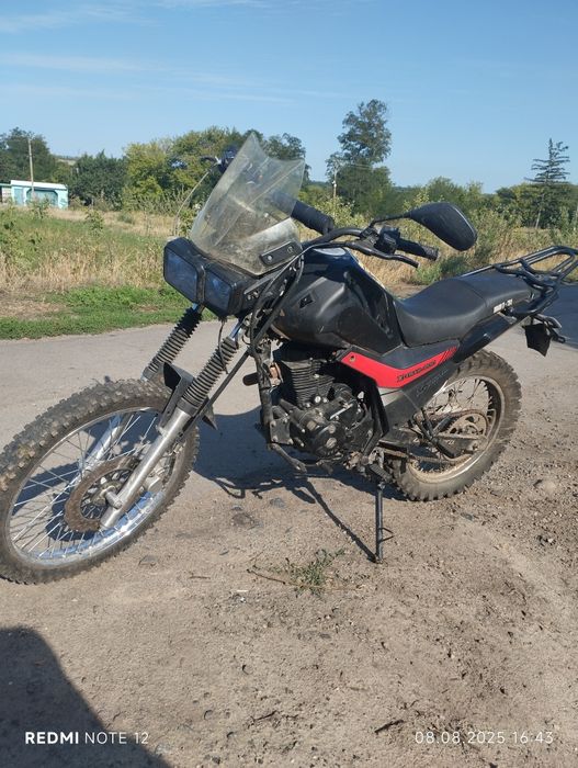 Шенрей х-трейл 200, 2019