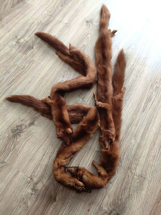 Szal z norek futro naturalne