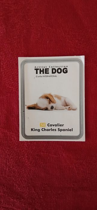 Autocolante The Dog, n° 50