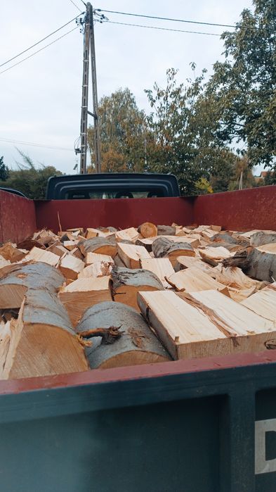 drewno Buk Brzoza Akacja Dąb Jesion