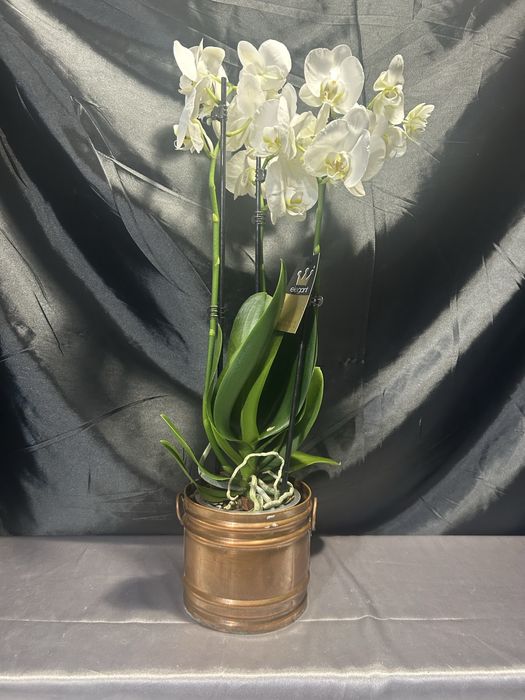 Miedziana osłonka na doniczkę – Klasyczna forma – Dekoracyjny akcent