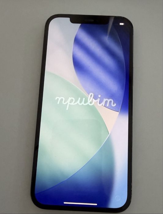 Iphone 12 pro max 256 gb
