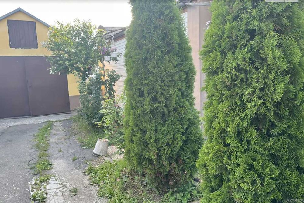 Продаж чудового будинку   Ракове        Sveta
