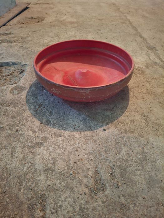 Plastic Plates442154286214041601