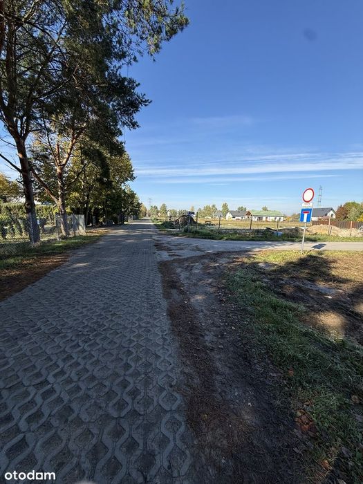 Aleksandrów |1000 m²|Media| Puszcza Słupecka | Zabudowa jednorodzinna - Więcej