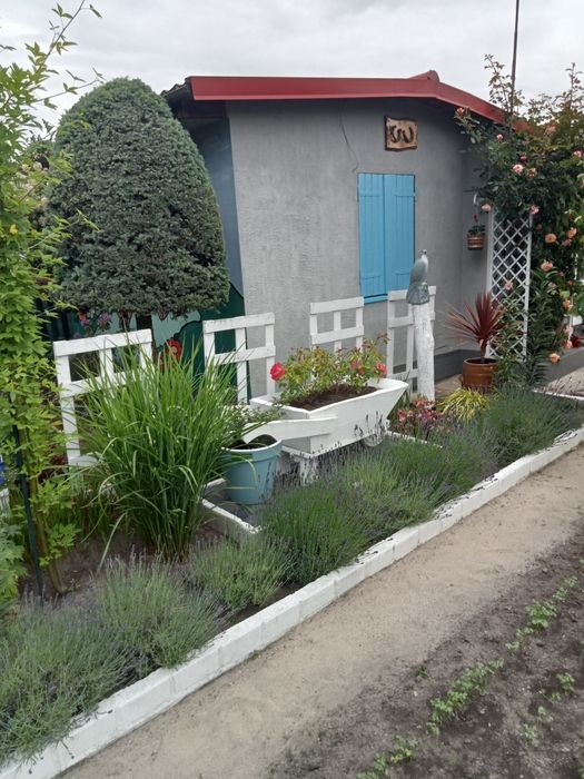 Działka ROD im.Buczka 390 m² - Więcej