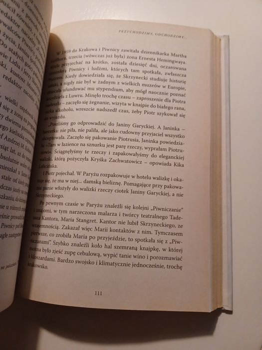 Seks, sztuka i alkohol. Życie towarzyskie lat 60 -  Andrzej Klim (d)