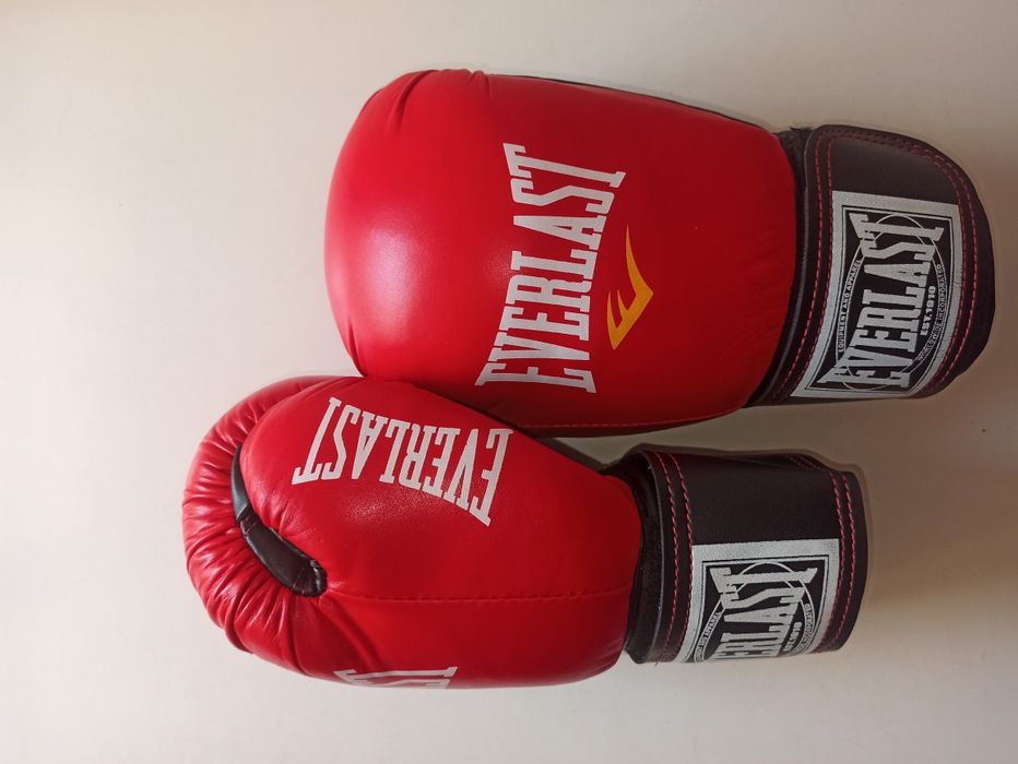 Боксерские перчатки Everlast, кожа, 10 oz,  перчатки для бокса