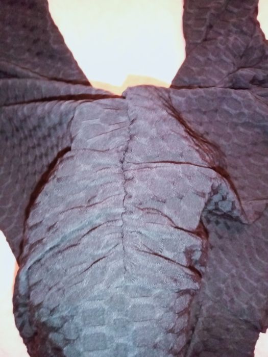 Лосины,шорти с пуш ап эффектом