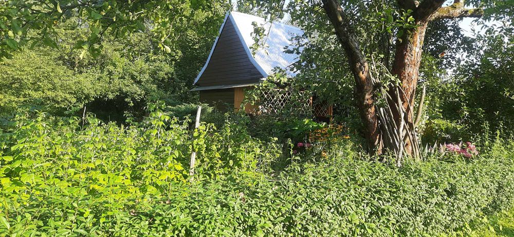 Sprzedam działkę na Ogródkach Działkowych Hutnik ul. 17 Stycznia Jasło