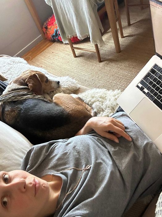Serviços de Pet Sitting