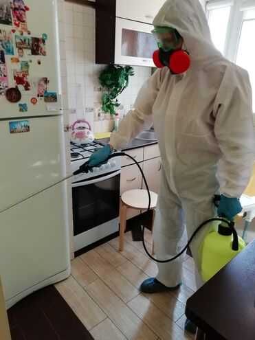 Професійне знищення комах, гризунів. Дезінфекція. Озонування