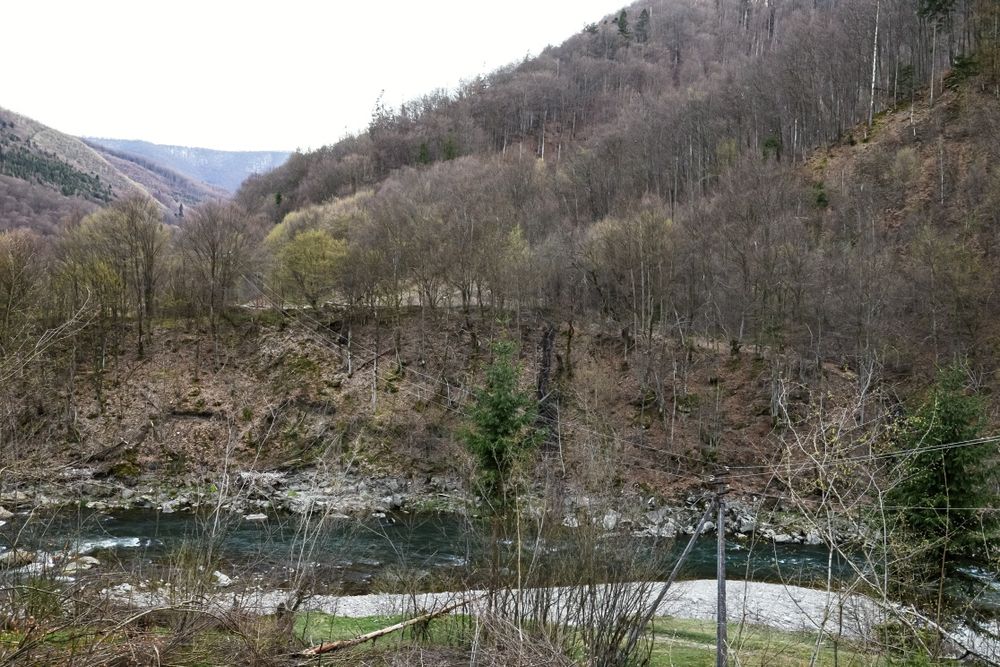 Продаж земельної ділянки в горах Закарпаття