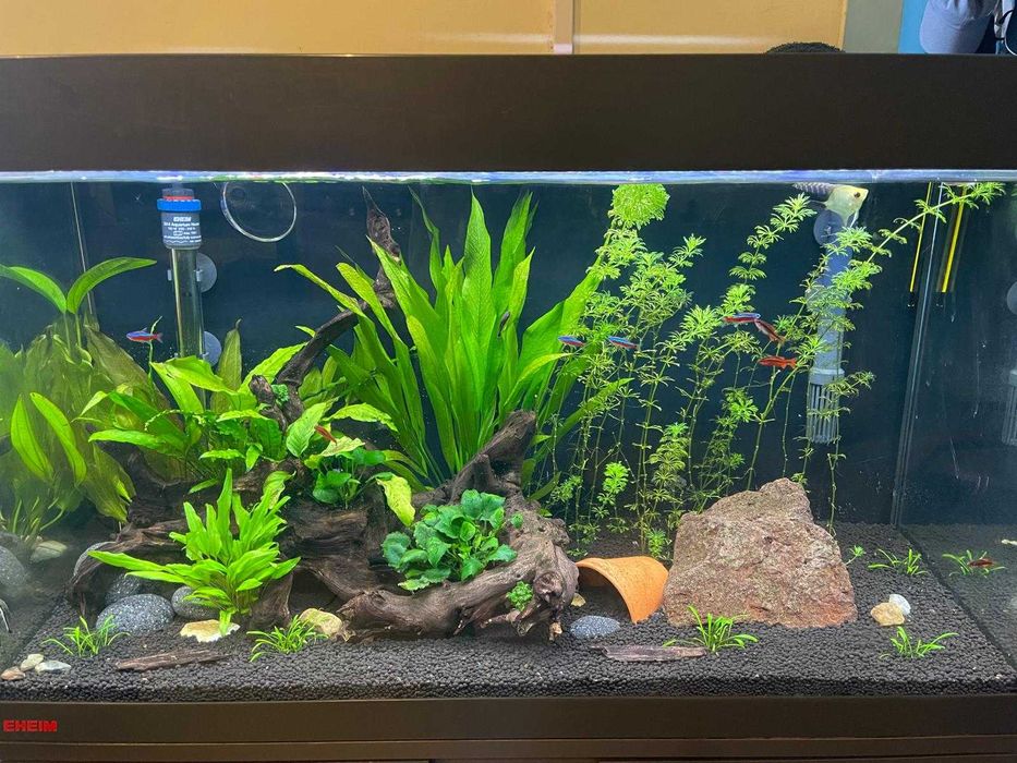 Aquário EHEIM Vivaline LED 126L