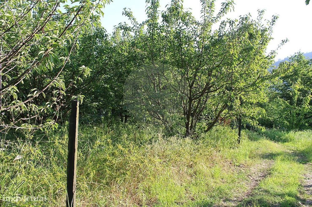 Terreno  para venda — Lamego (Almacave E Sé), Viseu