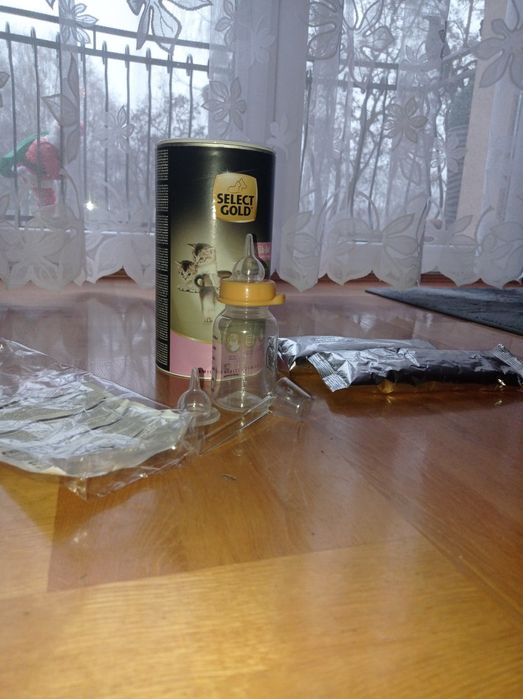 Mleko dla małych kociąt