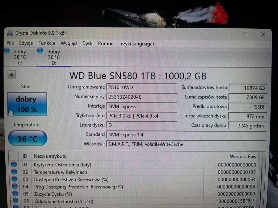 Dysk SSD M.2 NVMe 1TB WD Blue SN580 PCIe 4.0 | Stan 100% | Gwarancja do 2029