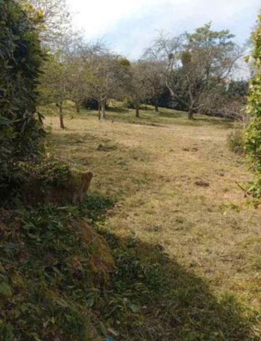 Limpieza de terrenos