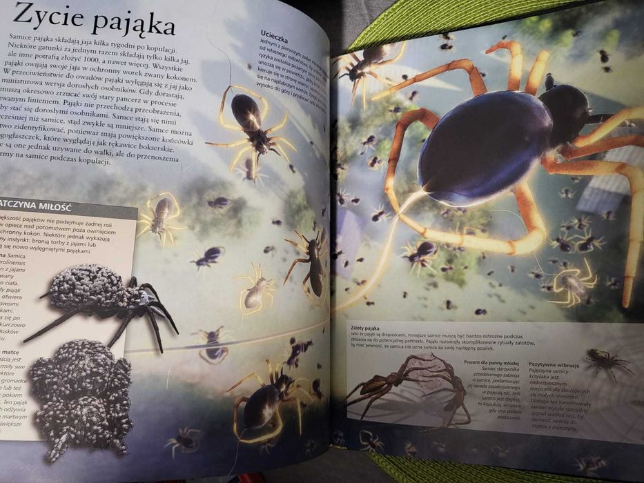 Encyklopedia. Owady i pająki,  Noel Tait, z serii Z Bliska