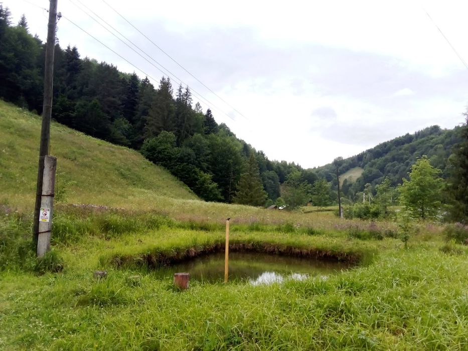 Котедж.Будиночок в Карпатах.Вільно з 19.09.2026.